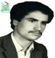 محمدرضا احمدي